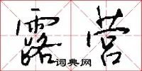露营