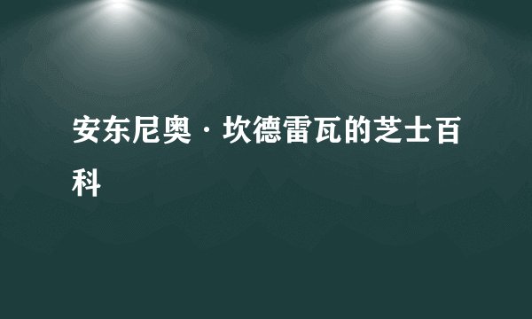 安东尼奥·坎德雷瓦的芝士百科