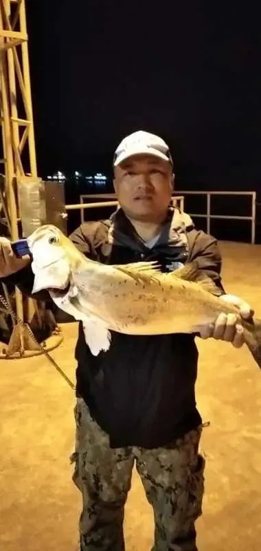 科尼路亚