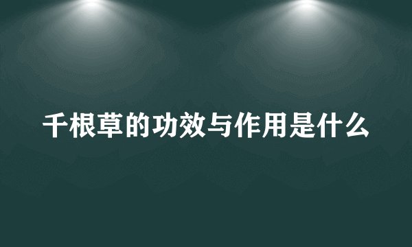 千根草的功效与作用是什么