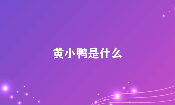 黄小鸭是什么
