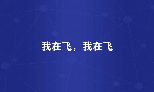 我在飞，我在飞