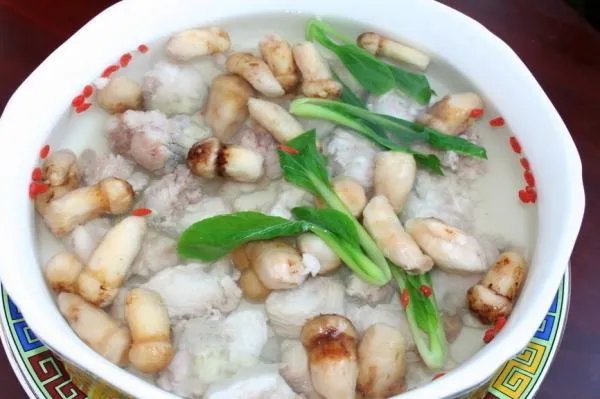 松茸是什么