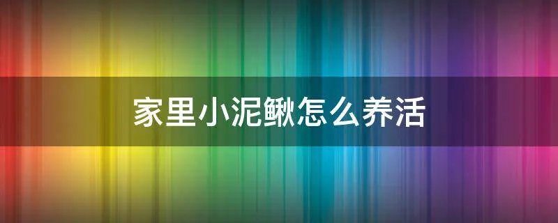 家里小泥鳅怎么养活