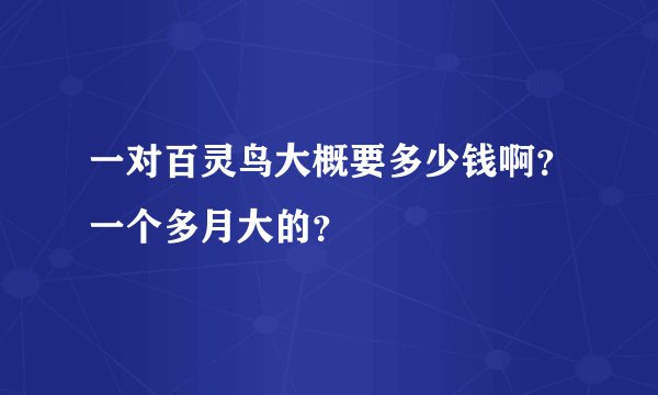 一对百灵鸟大概要多少钱啊？一个多月大的？