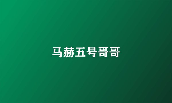 马赫五号哥哥
