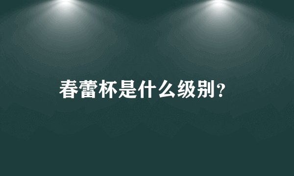 春蕾杯是什么级别？