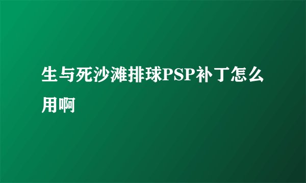 生与死沙滩排球PSP补丁怎么用啊
