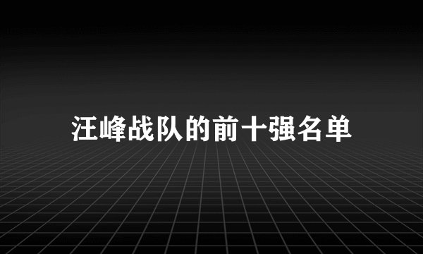 汪峰战队的前十强名单