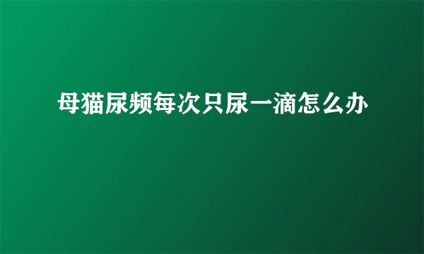 母猫尿频每次只尿一滴怎么办