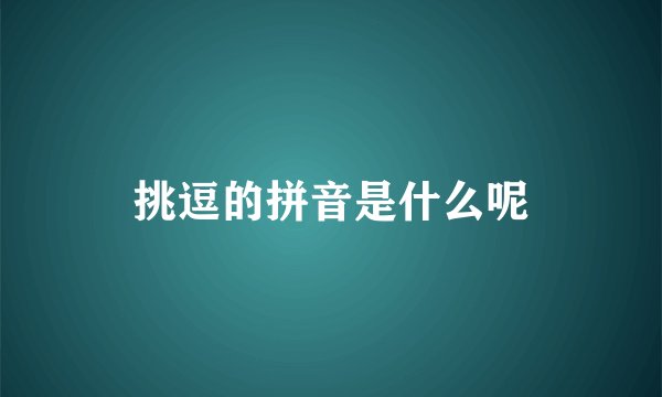挑逗的拼音是什么呢
