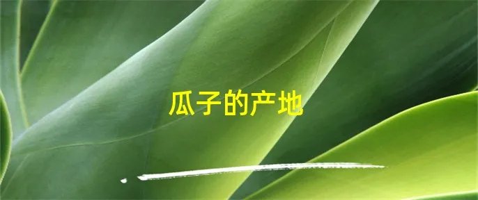 瓜子的产地
