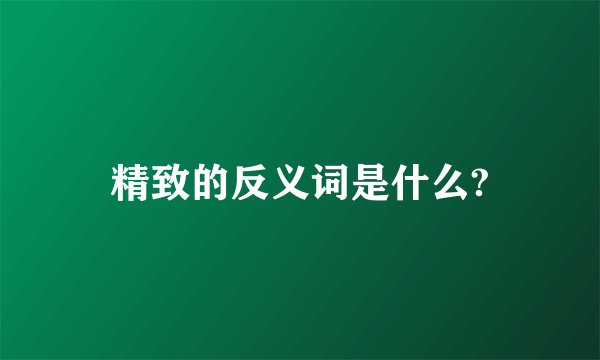 精致的反义词是什么?