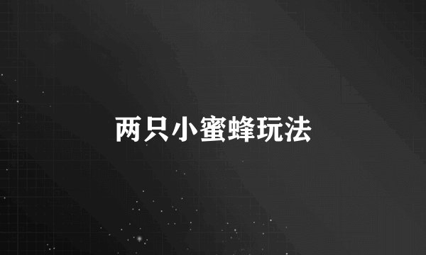 两只小蜜蜂玩法