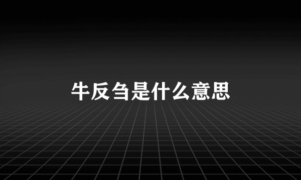 牛反刍是什么意思