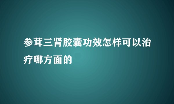 参茸三肾胶囊功效怎样可以治疗哪方面的