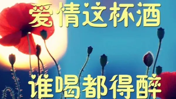 女人的泪一滴就醉是什么歌名