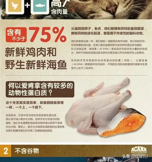 有没有比较好的猫粮推荐一下?