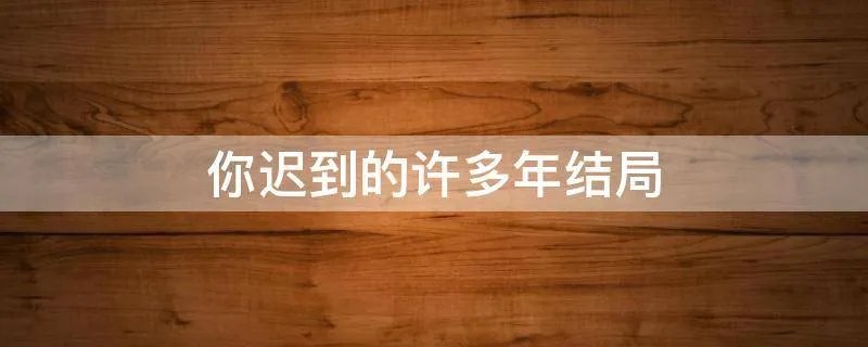 你迟到的许多年结局