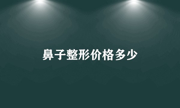 鼻子整形价格多少
