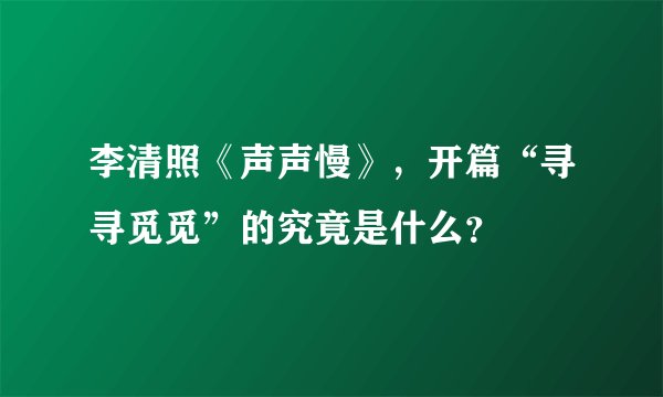 李清照《声声慢》,开篇“寻寻觅觅”的究竟是什么?