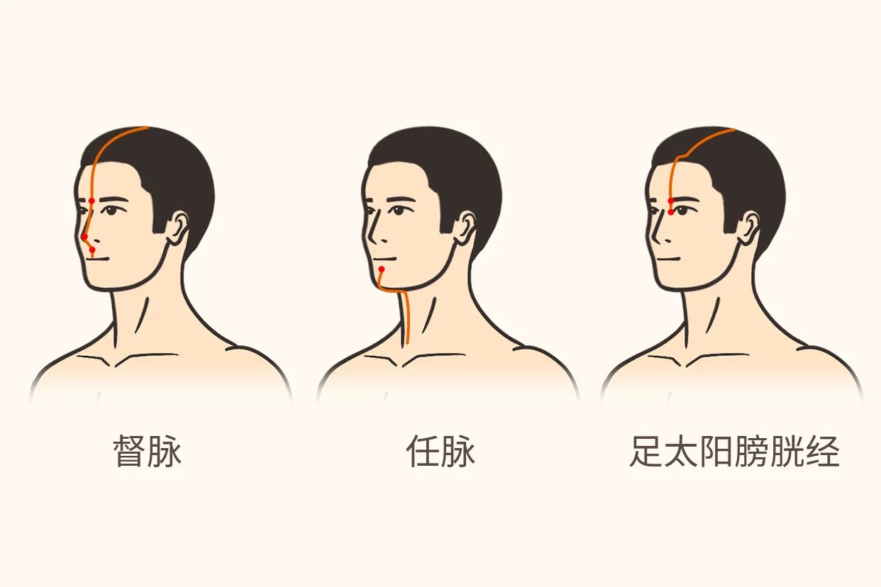 面部经络9条经络走向图