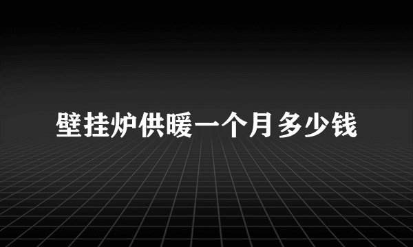 壁挂炉供暖一个月多少钱