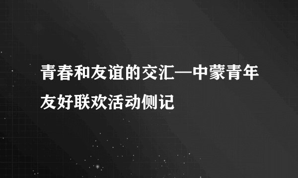 青春和友谊的交汇—中蒙青年友好联欢活动侧记