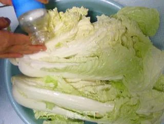 朝鲜辣白菜