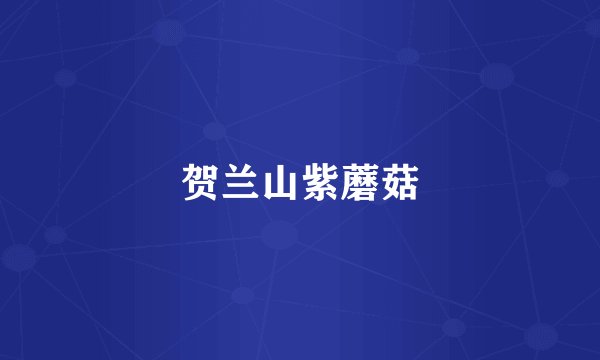 贺兰山紫蘑菇