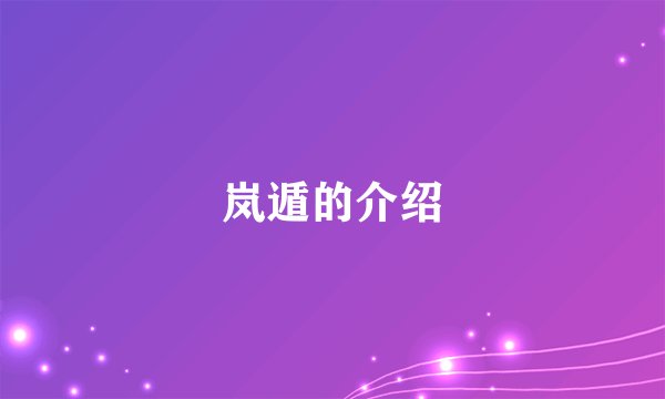 岚遁的介绍
