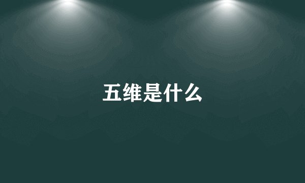 五维是什么
