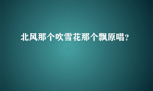 北风那个吹雪花那个飘原唱？