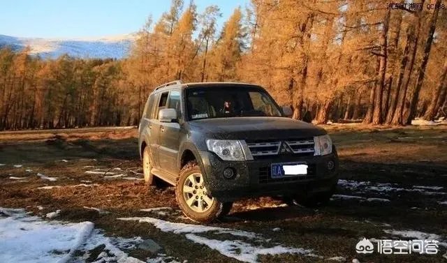 50万左右,买什么suv好呢?