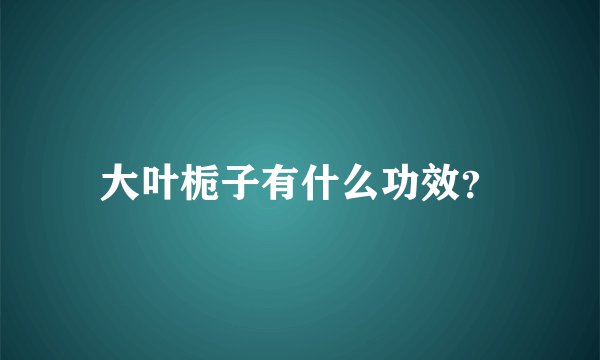 大叶栀子有什么功效？