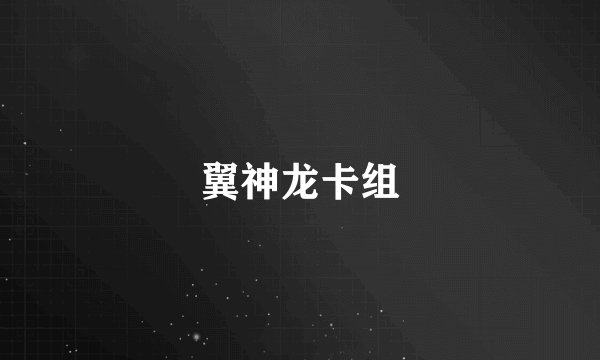 翼神龙卡组