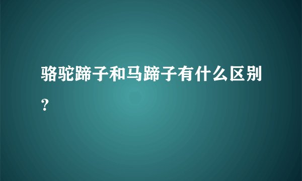 骆驼蹄子和马蹄子有什么区别？