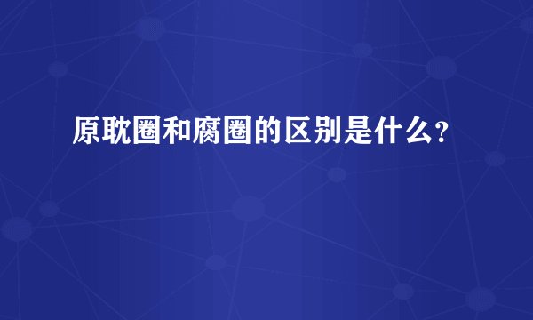 原耽圈和腐圈的区别是什么？