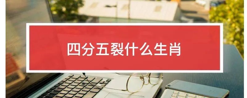 四分五裂什么生肖