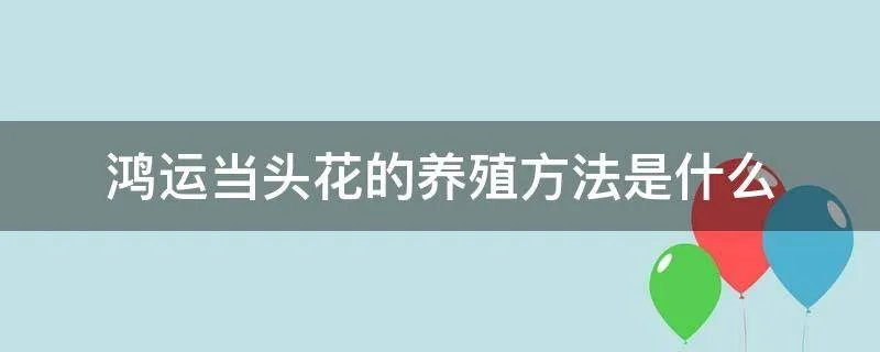 鸿运当头花的养殖方法是什么