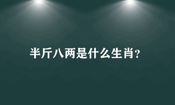 半斤八两是什么生肖？