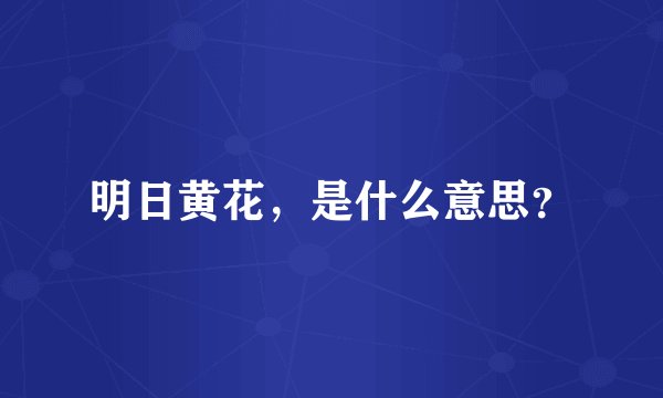 明日黄花，是什么意思？