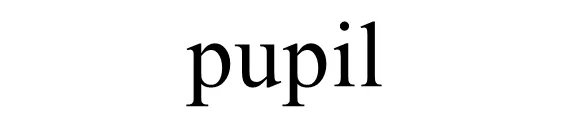 pupil是什么意思?