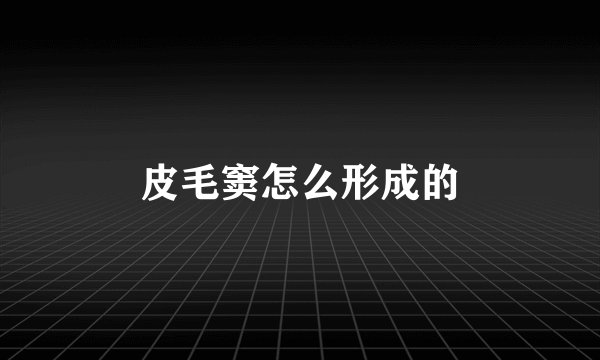 皮毛窦怎么形成的