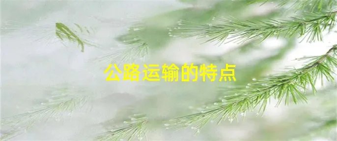公路运输的特点