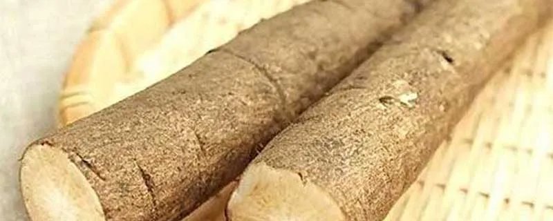 牛蒡是什么 什么是牛蒡