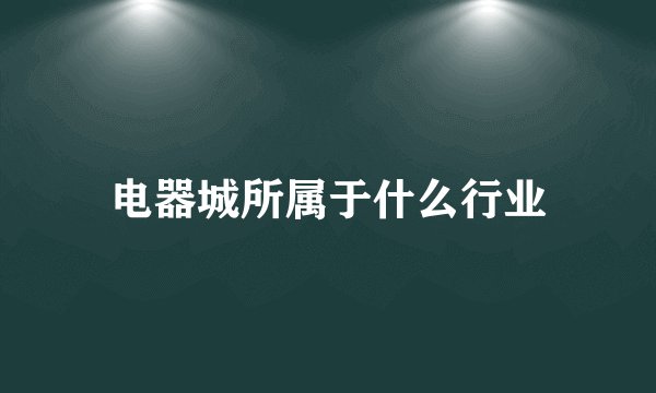 电器城所属于什么行业