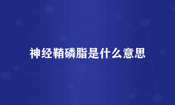 神经鞘磷脂是什么意思