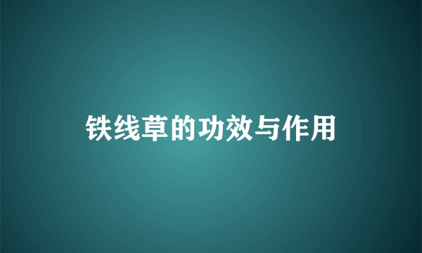 铁线草的功效与作用