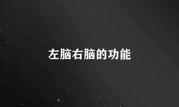 左脑右脑的功能